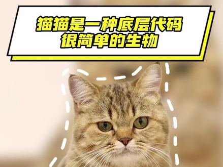 我还以为互相舔是关系好呢! #猫猫 #可爱
