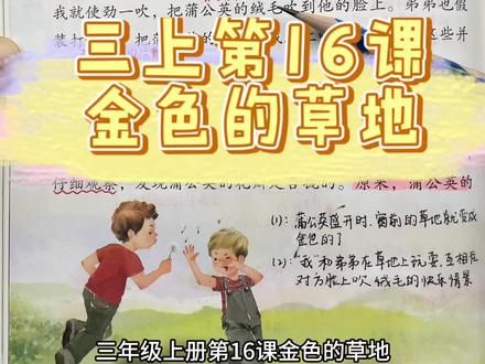 三年级上册第16课《金色的草地》课文讲解#小学 #语文 #人教版 #三年级 #知识点总结