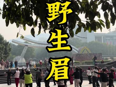 2025年唯一的遗憾就是我花5000块钱纹的野生眉吧。#就想说点大实话 #四七美学