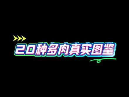 20种多肉真实图鉴(我的)#多肉植物 #内容启发搜索 #爱生活爱养花 #养花 #我的花花草草🌸🌸
