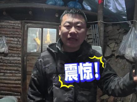 东北户外天太冷 天冷了地窨子能不能过冬啊