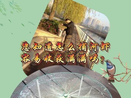 您知道怎么捕河虾容易收获满满吗?
把握这三点,收获不用愁
1、河虾是夜行性动物,有较强的负趋光性,夜间才出来觅食,所以抓河虾的笼子要傍晚放,早上收笼;
2、河虾在8度以上的水温可以正常进食,所以在春夏秋及南方的冬天都可以正常捕抓。
3、河虾喜食花生饼、豆饼、蚯蚓、螺蚌肉等,不喜食菜籽饼、棉籽饼;所以捕抓河虾,要用花生饼、豆饼、田螺肉、动物碎骨或内脏等;
#捕鱼网笼推荐 #户外捕鱼 #渔具用品 #诚信经营服务至上 #悠悠渔乐户外活动