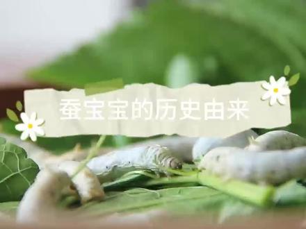 #蚕宝宝成长记 蚕宝宝的由来