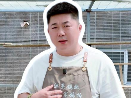 🐦鸽棚搭建避坑指南|这几点不注意等于白忙活!欢迎鸽友补充!👇
#鸽棚搭建 #信鸽爱好者 #养鸽日常 #阳台养鸽 #鸽子窝设计