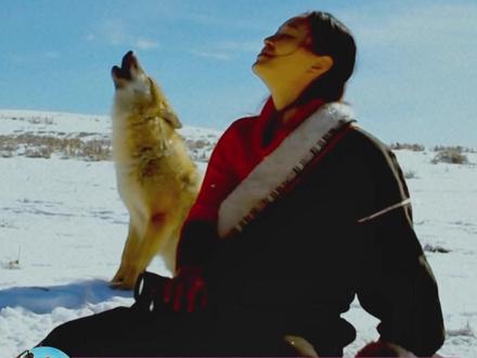 没想到《重返狼群》的背后还有这样的事 (内容不任何不良影响) #重返狼群 #李微漪 #格林 #稿费 #万万没想到