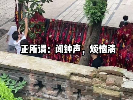 总要来一趟湛山寺吧 愿所求皆所愿 愿所期皆所盼 家人平安健康#祈福 #湛山寺 #寺庙
