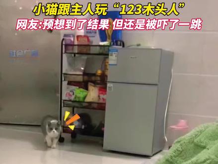 近日,广东广州。#321木头人 #猫咪的迷惑行为 #小猫