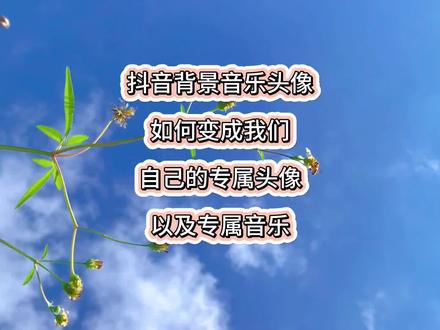 【我的生活vlog】
抖音背景音乐头像如何变成我们自己的专属头像以及专属音乐呢?#干货分享 #经验分享 #中视频伙伴计划 #教程 #记录真实生活