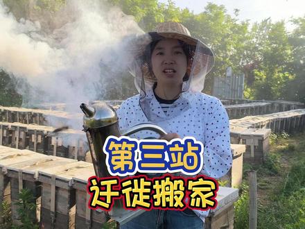 我们又要搬家了,这次时间最短,不到半个月,追花采蜜一直在路上 #搬家 #追花采蜜 #养蜂人 #迁徙 #抖音助农