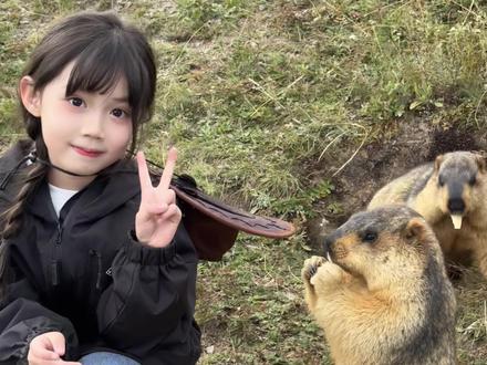 真相了!原来土拨鼠不会“啊” #骗你生女儿 #土拨鼠