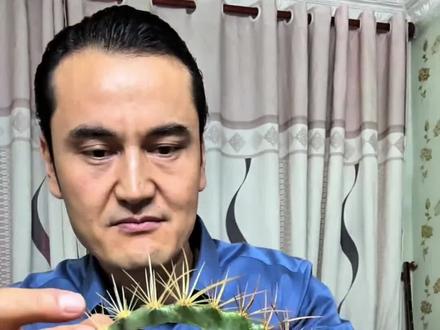 仙人掌还能拿来生啃???#仙人掌 #奇葩美食 #挑战不可能