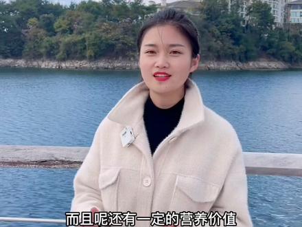 千岛湖的胖头鱼为什么好吃?#千岛湖 #旅游 #胖头鱼 #我为家乡代言