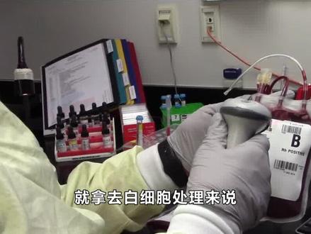 明明献血是无偿的,为何临床输血要收费?献血对身体好不好? #科普 #输血 #献血