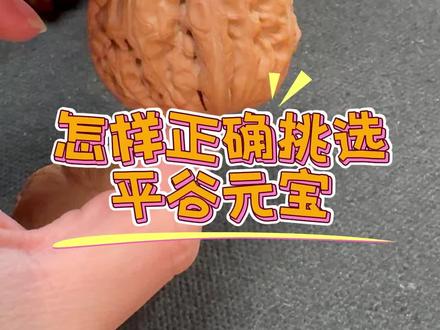 怎样正确挑选一款好的平谷元宝?#文玩爱好者 #文玩核桃 #平谷元宝狮子头 #元宝核桃