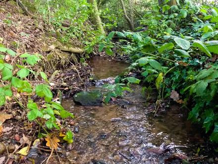 动物世界 变色龙、熊猫、猪、大象、鹦鹉
#动物世界 #动物知识科普视频 #动物模型 #科普