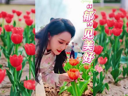 #郁金香 #郁金香花海 #春日花见浪漫无边 风是甜的,花是柔的,坠入郁金香花海🌷把春天拥入怀里☘️🌸🌿#春天 #春天的味道