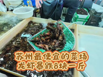苏州最便宜的菜场,小龙虾暴跌到8块一斤啦!太便宜了吧!#龙虾价格行情 #菜市场 #小龙虾 #菜价贵不贵 #苏州最便宜的菜市场