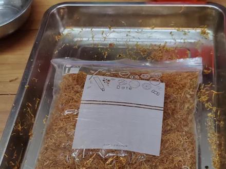 酶解发酵(二)#手卷烟 #烟丝