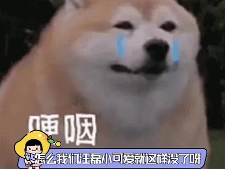 #似火流年汪磊挖煤遭遇矿难 磊子你糊涂啊!#似火流年