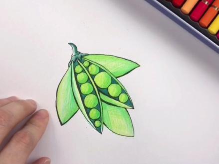 画一个豌豆荚来778#彩铅画 #一起学画画 #彩铅笔