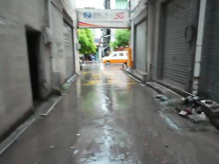 带你体验带17份早餐把包子短时间买空是什么感觉?#走读生 #上学 #早餐