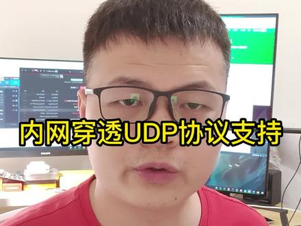 内网穿透UDP协议支持#程序员 #内网穿透 #软件开发