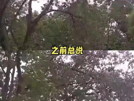 湖南人:没事!只是衣角微脏而已 #自然灾害 #地质灾害 #湖南 #科普