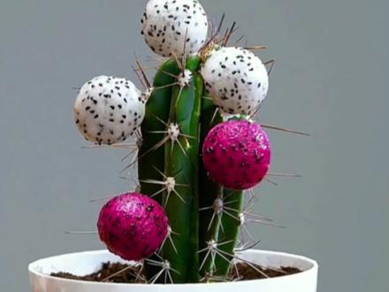 白醋的神奇妙用#白醋的神奇妙用 #热点 #生活小妙招