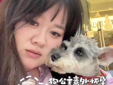 《雪纳瑞公主怀上土狗的孩子》
#vlog日常 #雪纳瑞 #生产