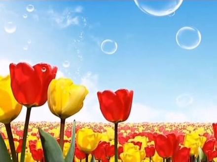 寻梦者•戴望舒#治愈 #朗诵