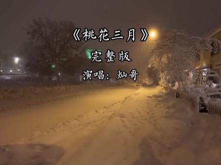 桃花三月完整版 桃花三月灿哥完整版#音乐分享