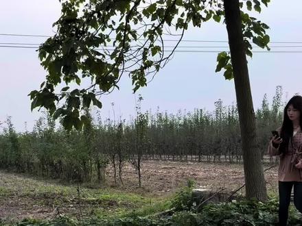 不是四个圈的车到底是什么#剧情演绎