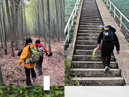 铜官山大脸猫路线:古藤→瀑布→攀岩→水库
全程11.3公里
总耗时5小时46分钟
途径路线:
南岳禅寺停车场一古藤一大芦寺方向一小瀑布一攀岩一4号交通洞一香炉峰→长峰岭→南岳禅寺停车场
参考路线:
两步路APP搜索- 宜兴铜官山大脸猫环线
小路多,岔路多,部分路线无信号,需提前下载路线!
必备物品:垃圾袋(野外不留痕),双肩包,少量路餐,适量饮用水,防滑徒步鞋,速干衣+冲锋衣+软壳裤+小腿袜,一定要戴手套,沿途有三处攀岩!
第一处:瀑布左侧,比较简单,容易上手;
第二处:看起来很陡峭,实际也陡峭,走起来其实还好啦,注意抬头别像我撞到聪明的大脑啦!
第三处:最陡峭,几乎垂直 连续爬升,但有下脚处且有绳,最轻松!
打卡点:瀑布,攀岩,古藤,香炉峰,隧道真的好出片(在第三处攀爬的下面,大家记得去探洞哦)
午餐点:我们选择在香炉峰吃午饭;大家吃的一起分享,还有大哥背了炉子煮肉,手艺也极牛的太好吃啦!
主要注意事项:
①看清脚下,不然容易没踩稳,打滑崴脚 ②要当心自己的脑袋瓜子,有些地方容易撞到树枝哦!
#户外徒步登山 #爬山 #vlog日常 #发疯日常 #春暖花开放肆去野