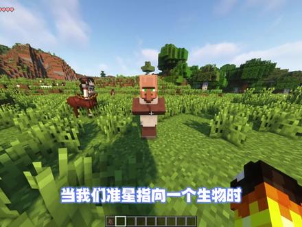 我的世界模组介绍:伤害显示 ToroHealth Damage Indicators #mc不灭 #我的世界