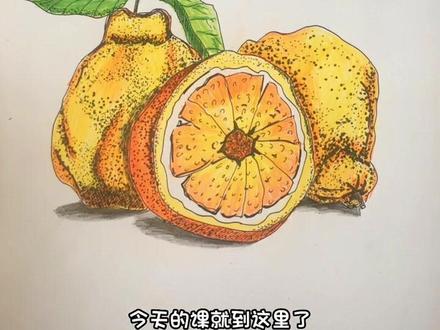 想画就画,静默在家,彩铅写生《丑橘》,待疫过后,等您归来#少儿彩铅画 #彩铅画 #想画就画