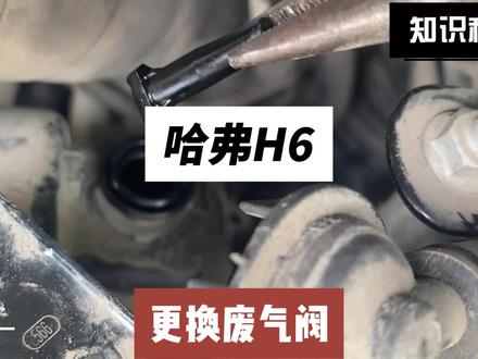 哈弗h6烧机油更换废气阀解决烧机油问题完美解决