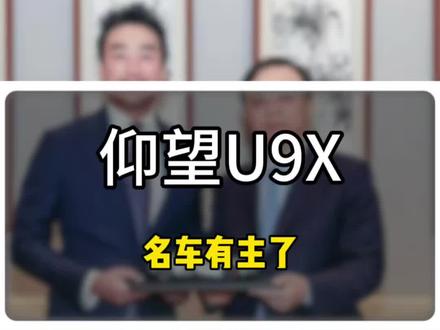 销量30台的仰望U9X泰国神秘车主曝光 #仰望汽车