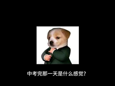 致我的中考
#中考#初三#经历#2026届中考
#抖音小助手dou上热门#中考