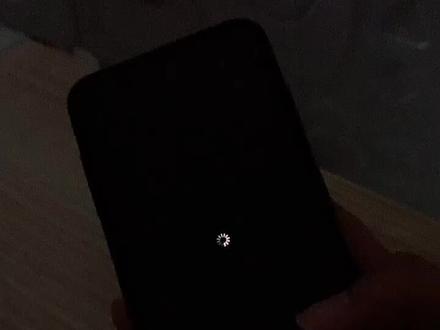 iPhonexsmax ios12系统,一直转圈圈,请教各位大神咋办,在线等
