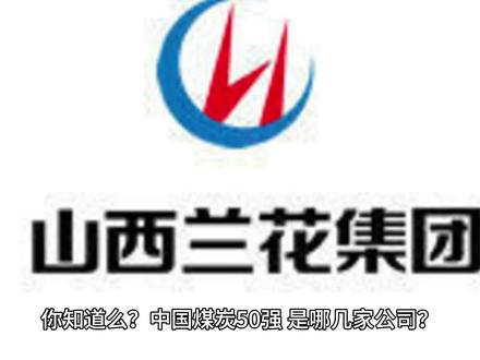 425:中国煤炭行业第40名——兰花集团