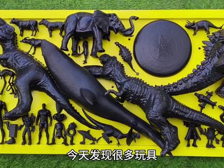 认识霸王龙、鲨鱼 #霸王龙玩具 #鲨鱼