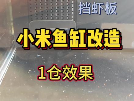 小米鱼缸改造升级「集成挡板」一步到位
#鱼缸改造 #小米鱼缸改造 #小米鱼缸过滤 #新手养鱼