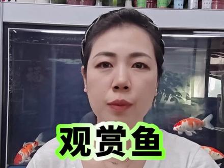 观赏鱼趴缸#观赏鱼 #新手养鱼 #水族#鱼病 #养鱼