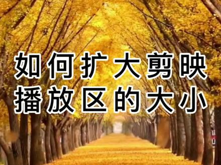 剪映电脑版的视频预览播放区太小,不方便剪辑,教你如何扩大显示以方便操作 #剪映电脑版 #剪映电脑专业版 #剪映专业版 #剪映电脑版教程 #剪映电脑版培训教学