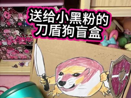 在学校见到两个盲盒,一个是送给真爱粉的续火花盲盒,一个是送给小黑粉的刀盾狗盲盒#手工#盲盒 #手工diy #亲子手工 #创意手工