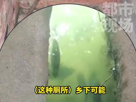 男子刚上完鱼塘“茅厕”被留下吃饭,得知要吃鱼看着茅坑陷入沉思#生态#吃鱼#农村