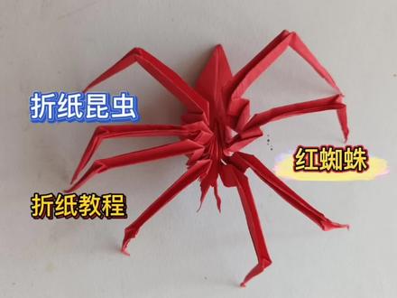 没想到彩纸也能折出超逼真的红色蜘蛛,孩子会喜欢玩吧?#手工折纸教程 #爱手工爱生活 #亲子手工 #折纸昆虫