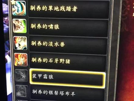 #魔兽坐骑 亲测并不需要连续做12天兽栏日常,反正我是才做了几天就得5个坐骑了,小伙伴们快去拿吧,3级兽栏还有