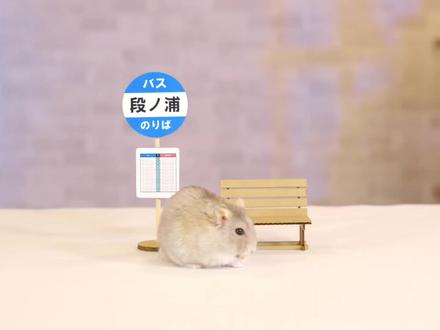 你见过无线控制的纸板公交车吗,一起沉浸式体验吧 #科技小制作 #微缩模型 #小发明 #手工玩具 #遥控模型