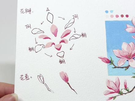 清新淡雅的玉兰花分解教程! 1️⃣玉兰花的花瓣像一个兜帽,或者勺子,上宽下窄,微微向里扣
2️⃣玉兰的花瓣是渐变的,上浅下深。
3️⃣玉兰的枝干线条干净利落,有棱有角,我们在画的时候也要落笔干脆,最后在花朵底部加一些绿色的叶托,点缀花蕊
#丙烯马克笔 #花绘教程 #绘画过程 #绘画教程 #跟着抖音学画画